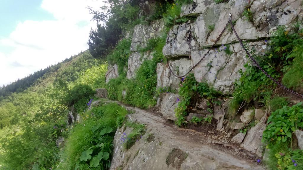 Agroturystyka Lesny Zakatek Stryszawa Kültér fotó