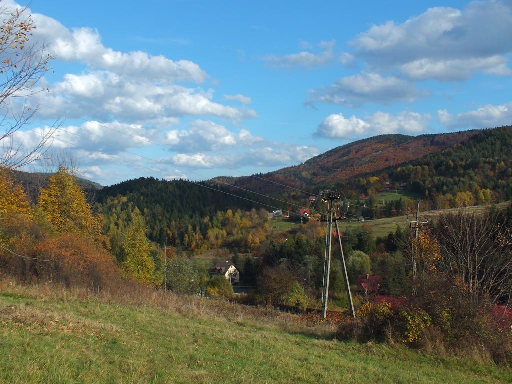 Agroturystyka Lesny Zakatek Stryszawa Kültér fotó