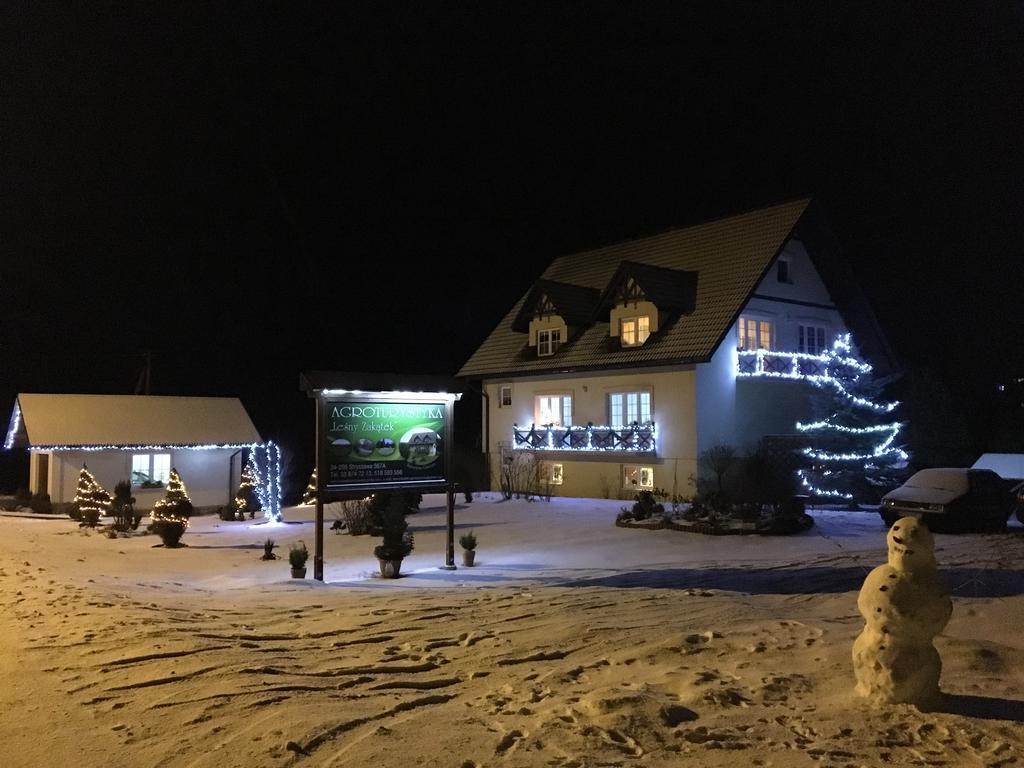 Agroturystyka Lesny Zakatek Stryszawa Kültér fotó