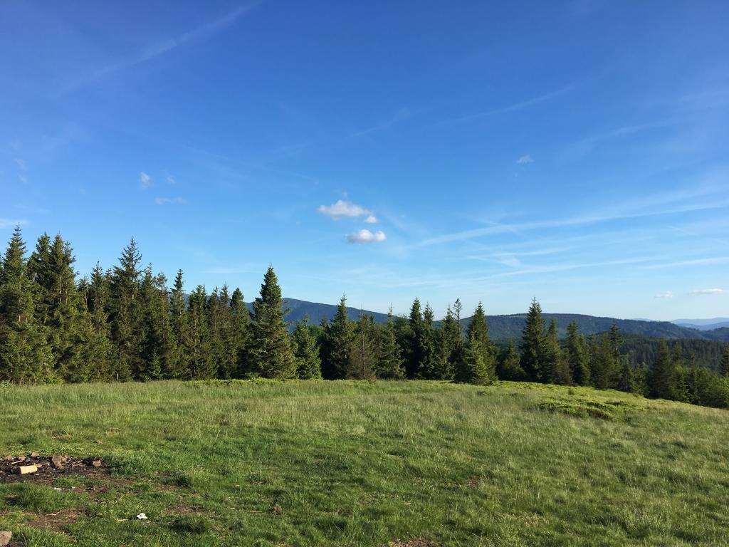 Agroturystyka Lesny Zakatek Stryszawa Kültér fotó